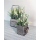 Asna Decorative Artificial Plants in Wooden Pot
