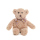 Teddy Bear Andy Bear 8