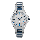 Alexandre Christie Classic Steel AC 8634 LD BTUSL Ladies Silver Dial Dual Tone Stainless Steel