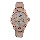 Alexandre Christie Passion AC 2915 BF BRGLN Ladies Rose Gold Dial Rose Gold Stainless Steel
