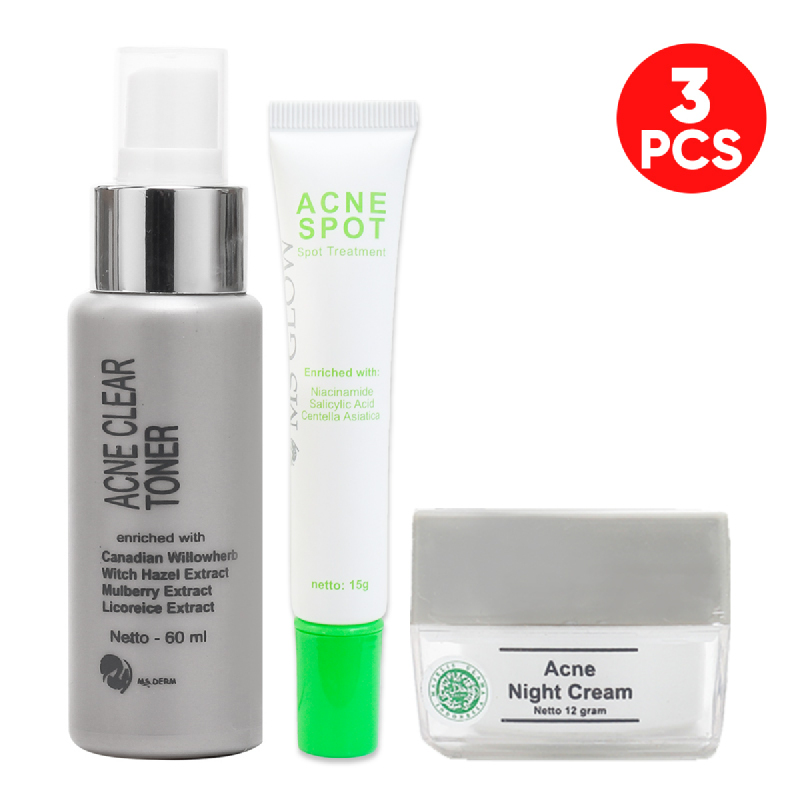 Ms Glow Acne Fighter Kit Istyle
