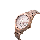 Alexandre Christie Passion AC 2877 BF BRGRG Ladies Rose Gold Dial Rose Gold Stainless Steel