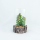 Asna Decorative Artificial Plants in Clear Glass