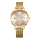 Alexandre Christie Passion AC 2916 BF BGPGR Ladies Rose Gold Dial Gold Mesh Strap