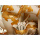VICENZA TABLEWARE C59 LILY