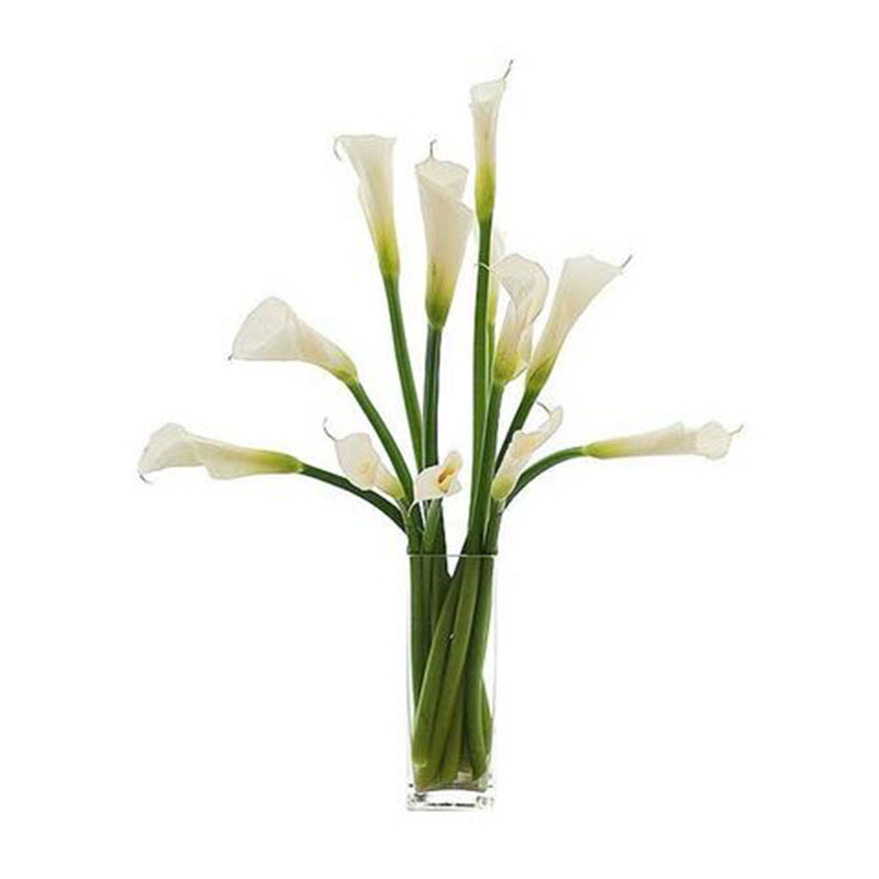12 Calla Lilies In A Vase