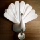 Highpoint Qualy Peacock Key Holder QL10193WH - White