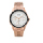 Alexandre Christie AC 2714 BF BRGSL Ladies Silver Dial Rose Gold Stainless Steel