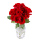 Flower Advisor - Dozen Red Roses