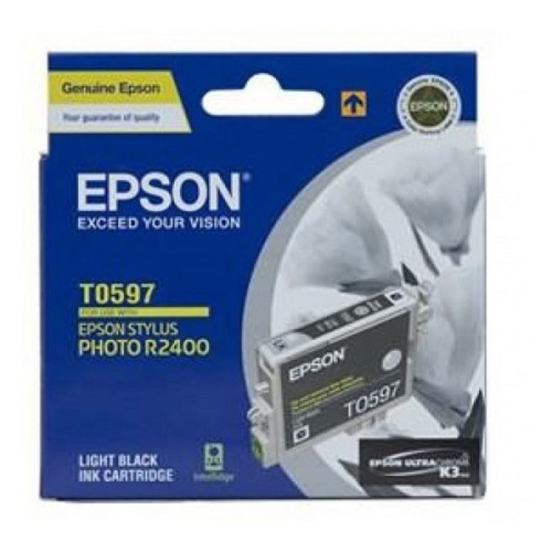 Epson Light Black Ink Cartridge  For Stylus Photo R2400