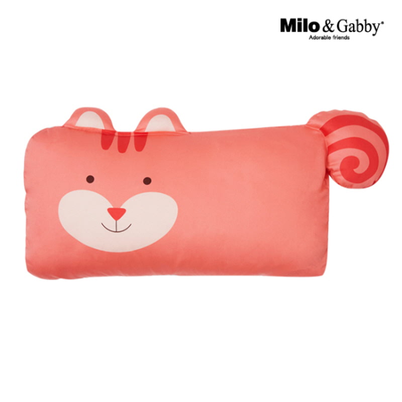 Animal Character Mini Pillow Cover - Lucy the Squirrel