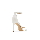 ALDO Ladies Heels PROMMY-100 White