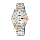 Alba AN8020X1 Silver Pattern Dial Dual Tone Stainless Steel Strap