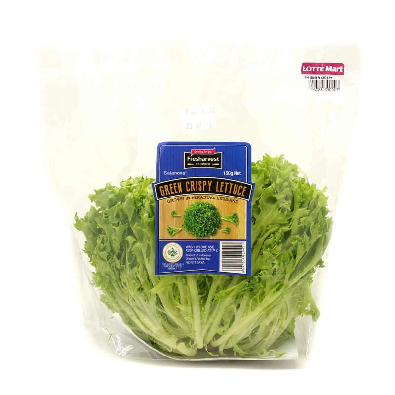 Lotte Mart Green Crispy Lettuce 150 Gr Per Pack