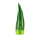 Holika Holika Aloe 99% Soothing Gel 250ml (Pctg)
