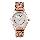 Alexandre Christie Passion AC 2887 LHBRGSL Ladies Silver Dial Rose Gold Mesh Stainless Steel Strap
