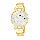 Alba AG8K70X1 Ladies Silver Dial Gold Stainless Steel Strap