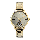Alexandre Christie Passion AC 2907 BS BGPIV Ladies Gold Dial Gold Stainless Steel Strap