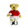 Teddy Bear Ken Football 12