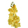Anggrek Phalaenopsis X9 Yellow