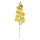 Anggrek Phalaenopsis X9 Yellow