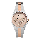 Alexandre Christie AC 2882 BF BTRSL Ladies Rose Gold Dial Dual Tone Stainless Steel Strap
