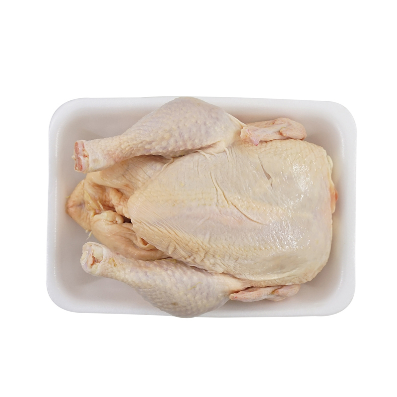 Ayam Boiler 1 Ekor