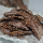 Keripik Pisang Coklat (Isi 5)