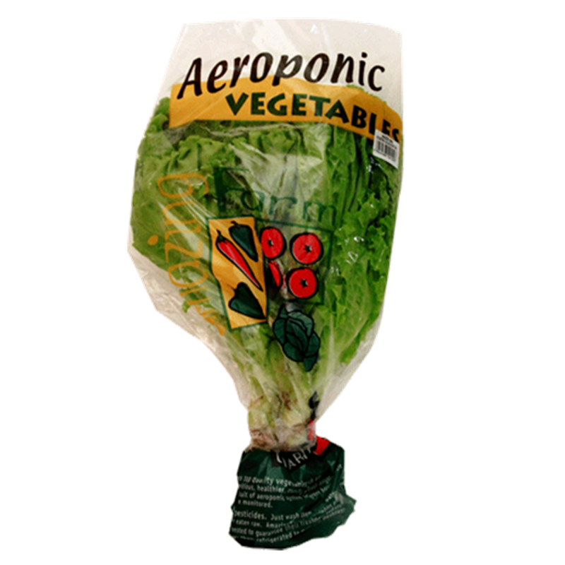 Kale Aeroponic
