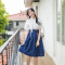 Envylook Daily Hanbok Skirt - Navy