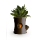Highpoint Qualy Log And Squirrel (Plant Pot) QL10075BNGN