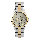 Alexandre Christie Passion AC 2910 BF BTGLG Ladies Gold Dial Dual Tone Stainless Steel Strap