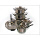 Vicenza COOKWARE V612