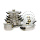 Vicenza COOKWARE V612