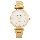 Alba AG2008X1 Ladies Gold Dial Gold Stainless Steel Strap