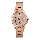 Alexandre Christie AC 2888 BF BRGLN Ladies Rose Gold Dial Rose Gold Stainless Steel Strap