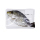 Blessing Fish Ikan Baronang 1 kg [3 - 4 Ekor Per Kg]