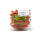 Lotte Mart Cabe Rawit Merah 100 Gr Per Pack